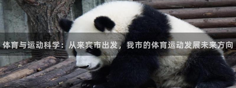 探球體育比分即時比分