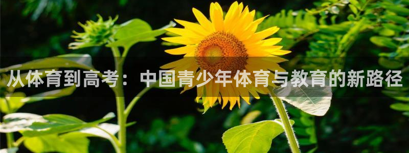 關鍵詞