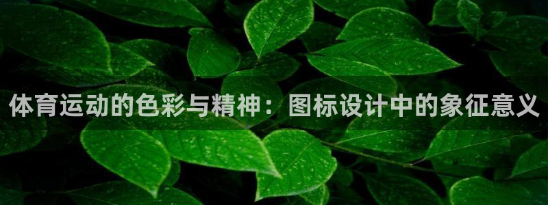 探球體育